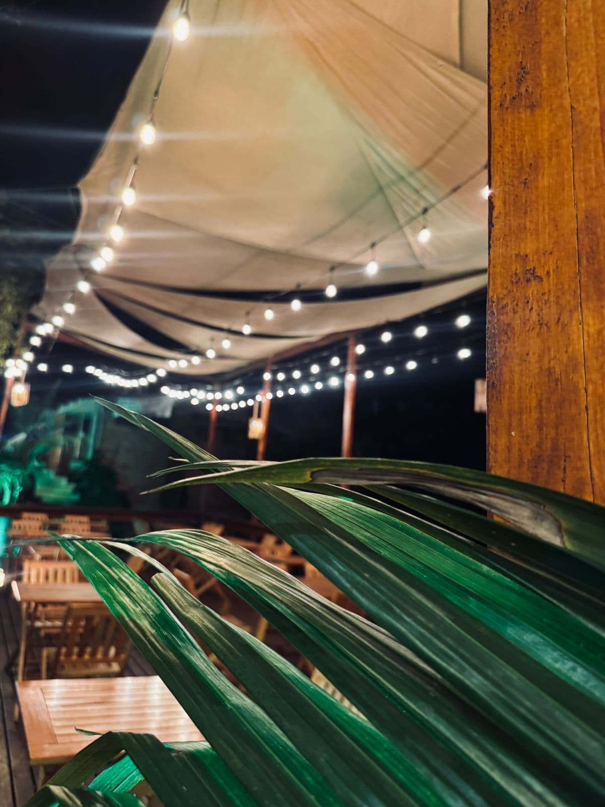 Ambiente Los Troncos Resto Bar